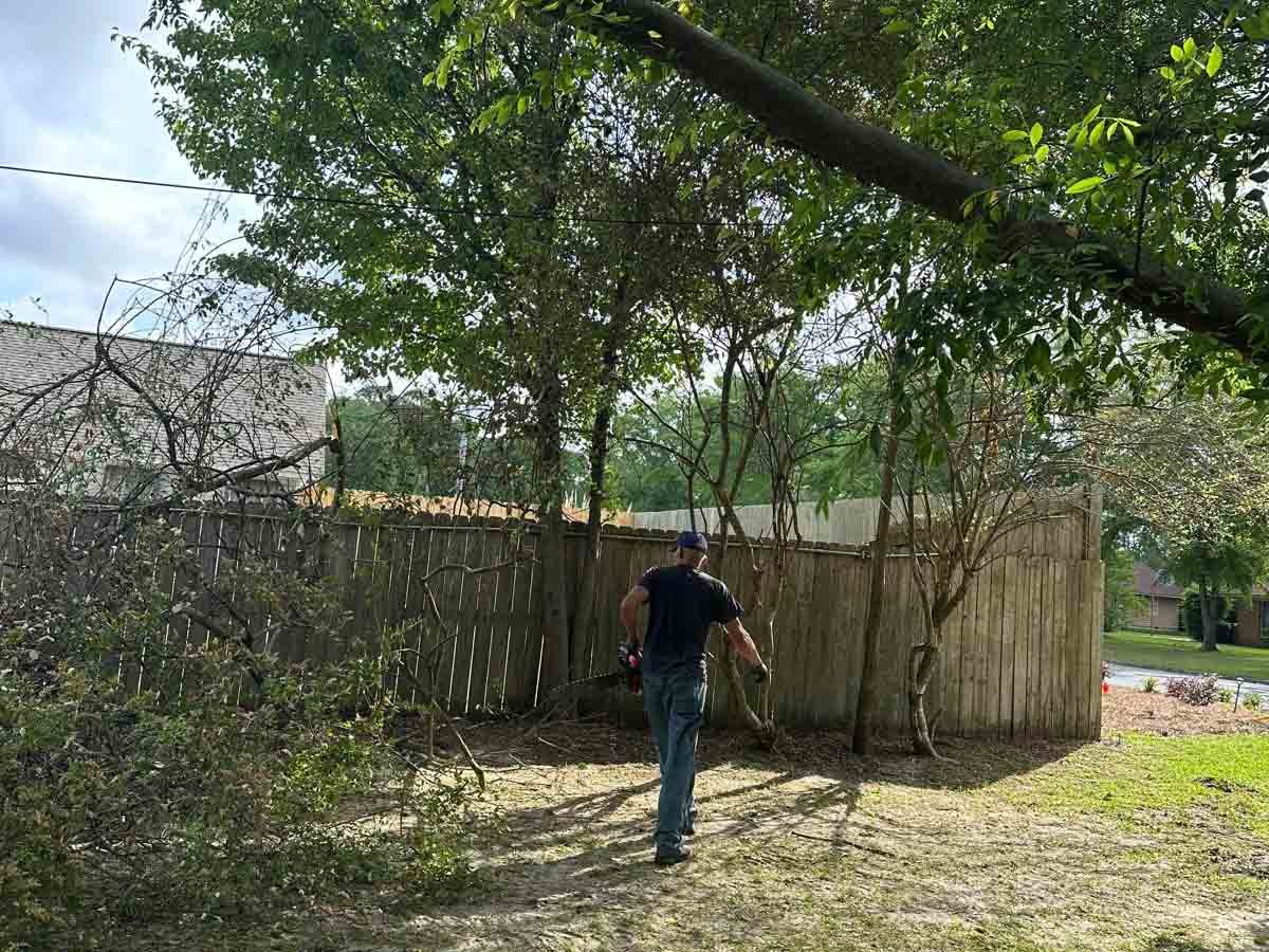 El Costeño Tree Service LLC